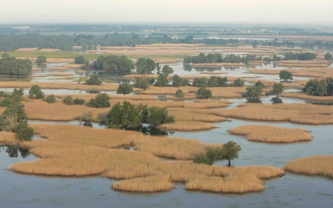 WWF: Weg frei für Europas größtes Flussschutzgebiet