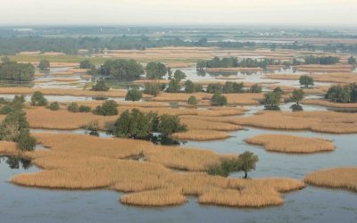 WWF: Weg frei für Europas größtes Flussschutzgebiet