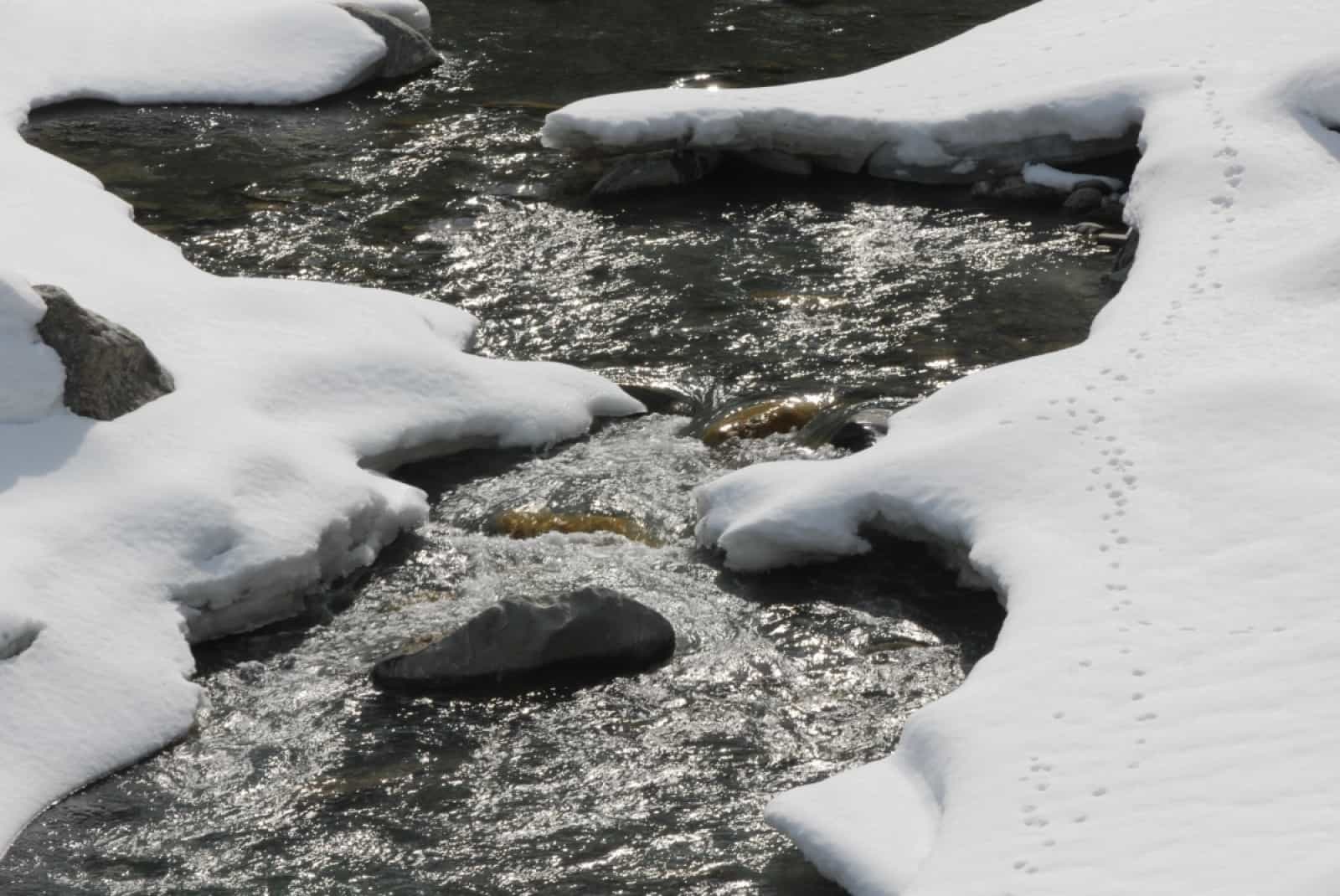 Venter Ache NP Ötztal.JPG