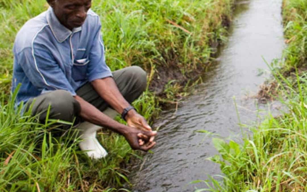 Welt-Wasserkonferenz in Marseille: Kampf gegen globale Wasserkrise