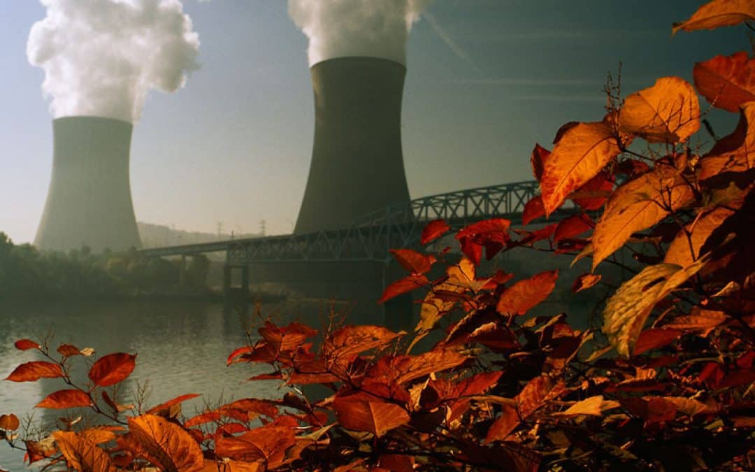 Aus für Belene: WWF gegen Atomkraftausbau in Bulgarien