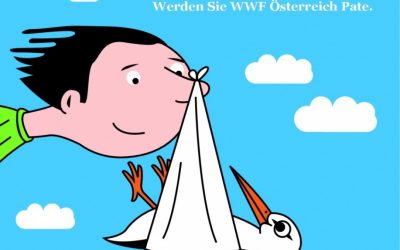 Einmal Afrika und zurück: Erster Storch in Marchegg gelandet