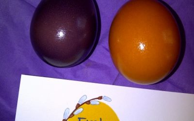 WWF: 75 Prozent Strom sparen beim Ostereierkochen