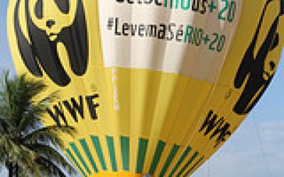 WWF: Ergebnis ist totaler Misserfolg ohne Führung und Vision