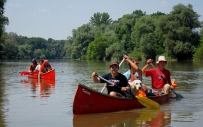 Kanutour durch die Au: WWF Jugendgruppe erforscht die March