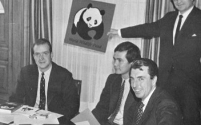 Juan Carlos nicht mehr Ehrenpräsident von WWF Spanien