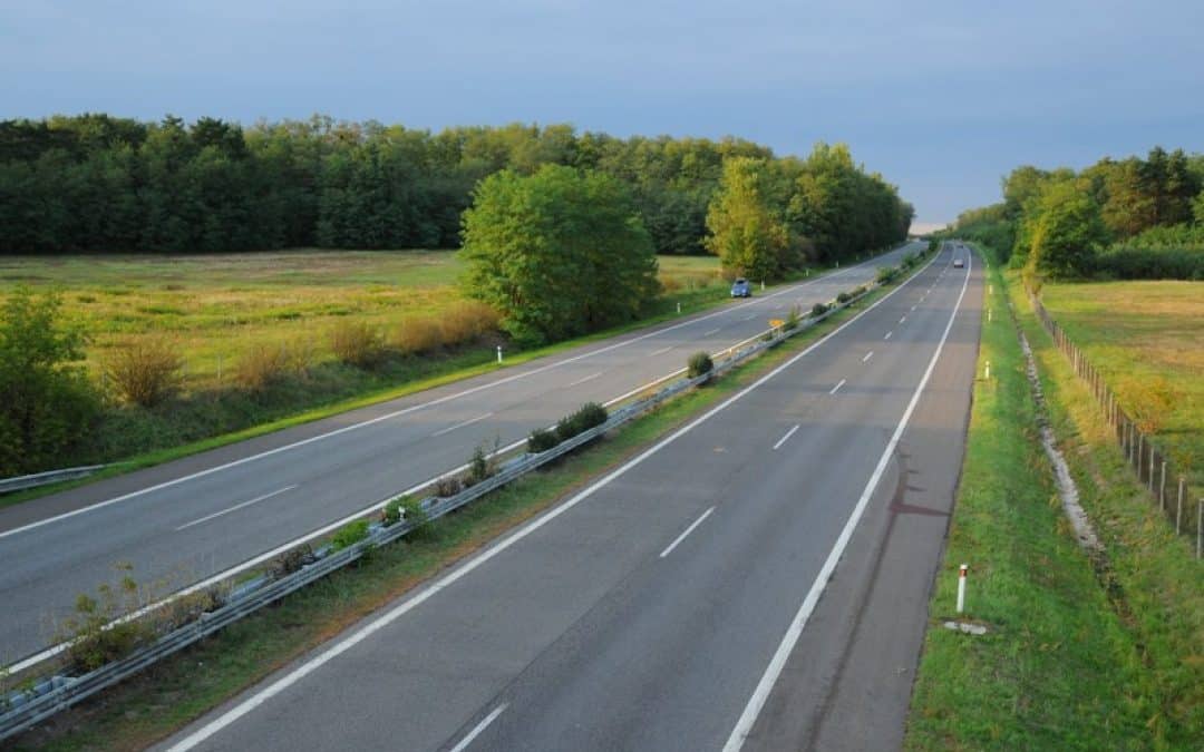 Verkehrsunfall an der D2 beweist: Bären brauchen es barrierefrei