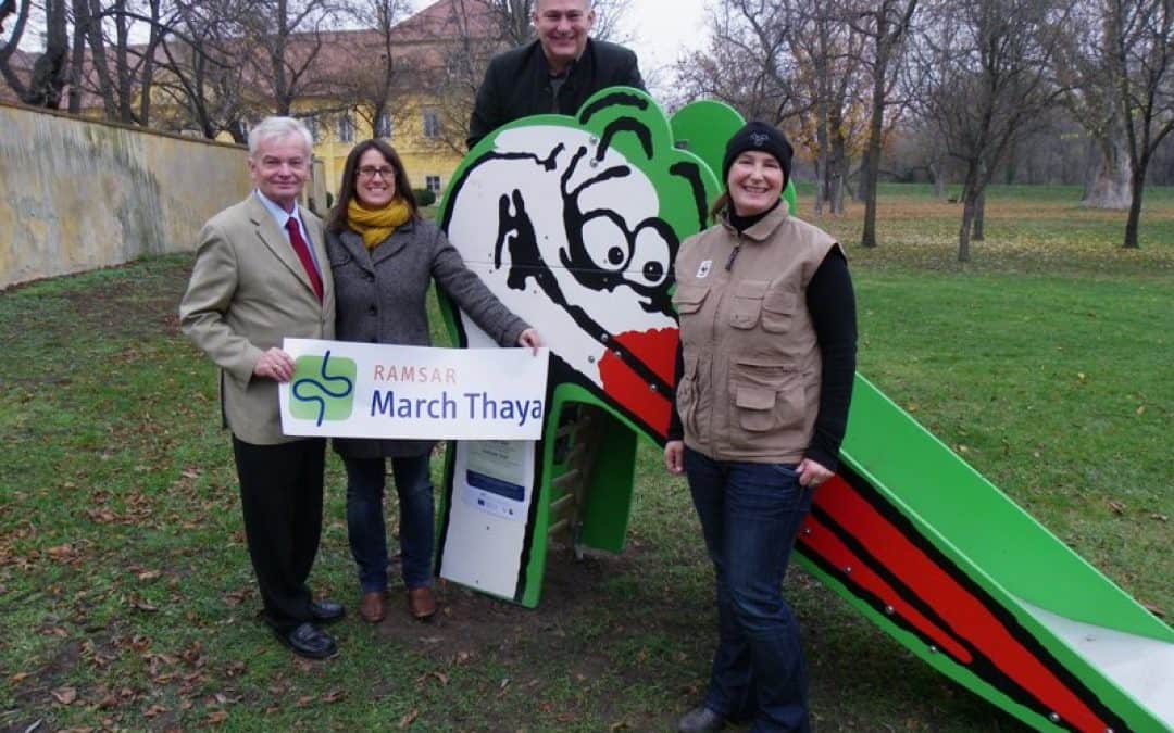 Naturschutz in der Gemeinde: Marchegg holt seine Dohlen zurück