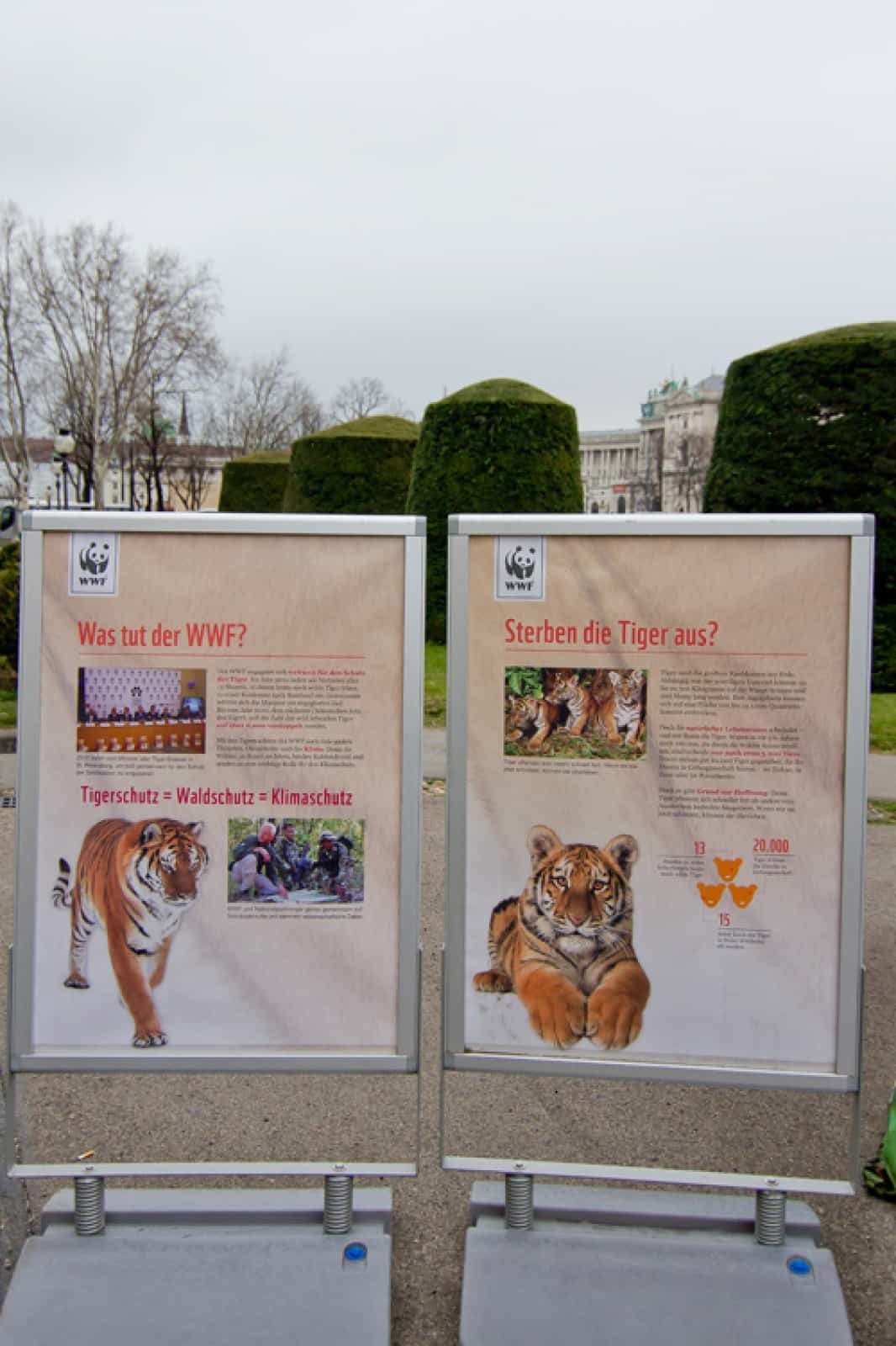 WWF Ausstellungstafeln Tiger, © by Andreas Zednicek/ WWF WWF Ausstellungstafeln Tiger, © by Andreas Zednicek/ WWF