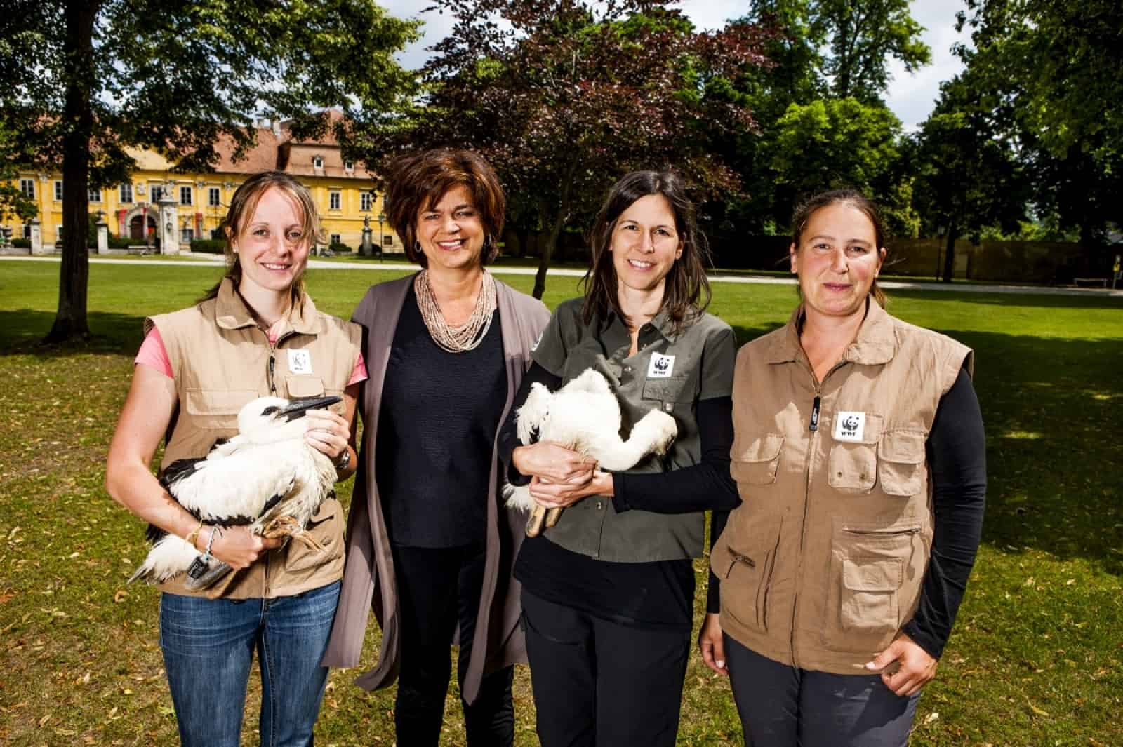 Storchenberingung Marchegg 2013: Mag. Bettina Glatz-Kremsner/Vorstandsdirektorin Österr. Lotterien mit WWF Geschäfsführerin Andrea Johanides und WWF Expertinnen©Österreichische Lotterien/Achim Bieniek