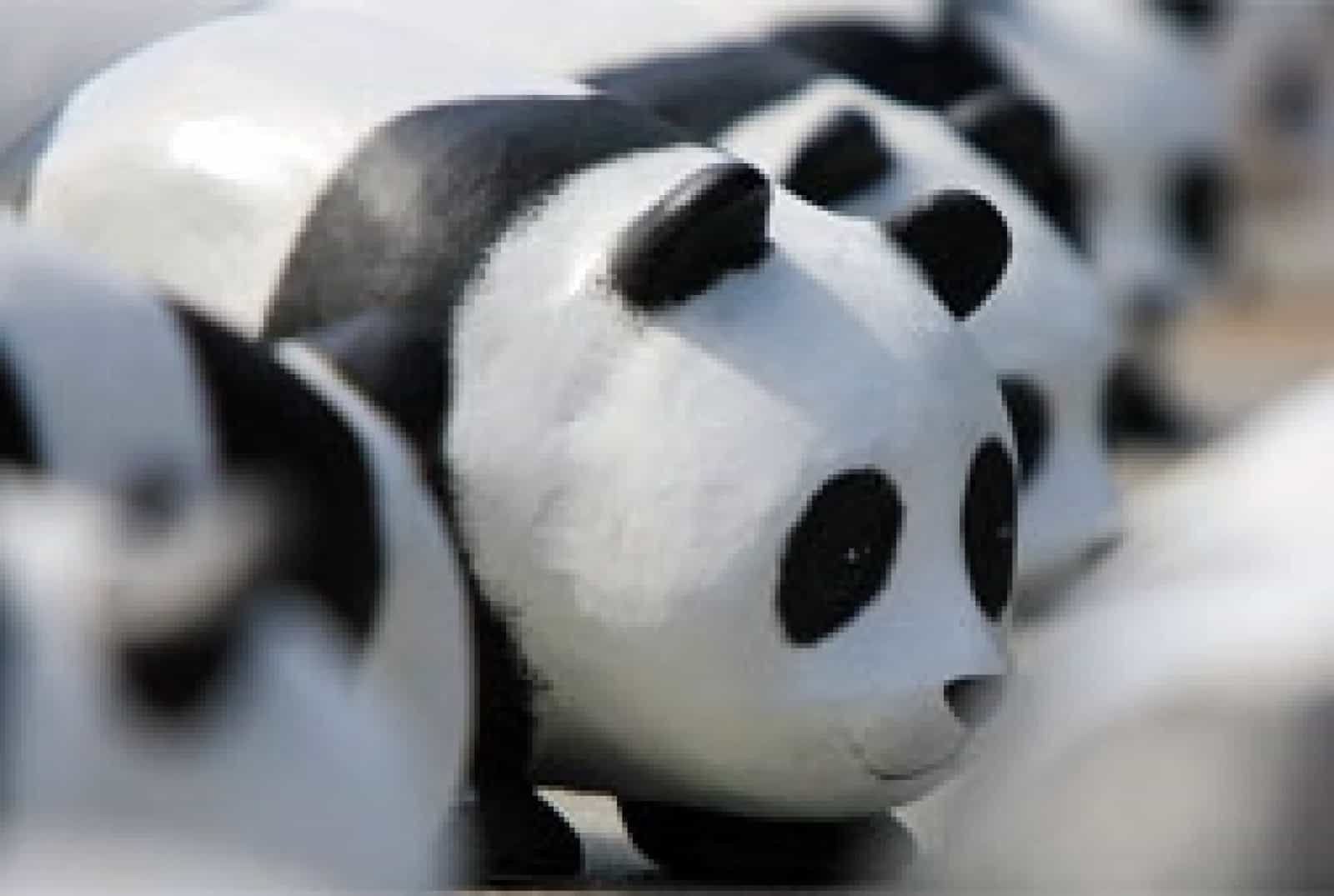Panda on Tour (c) WWF-Deutschland