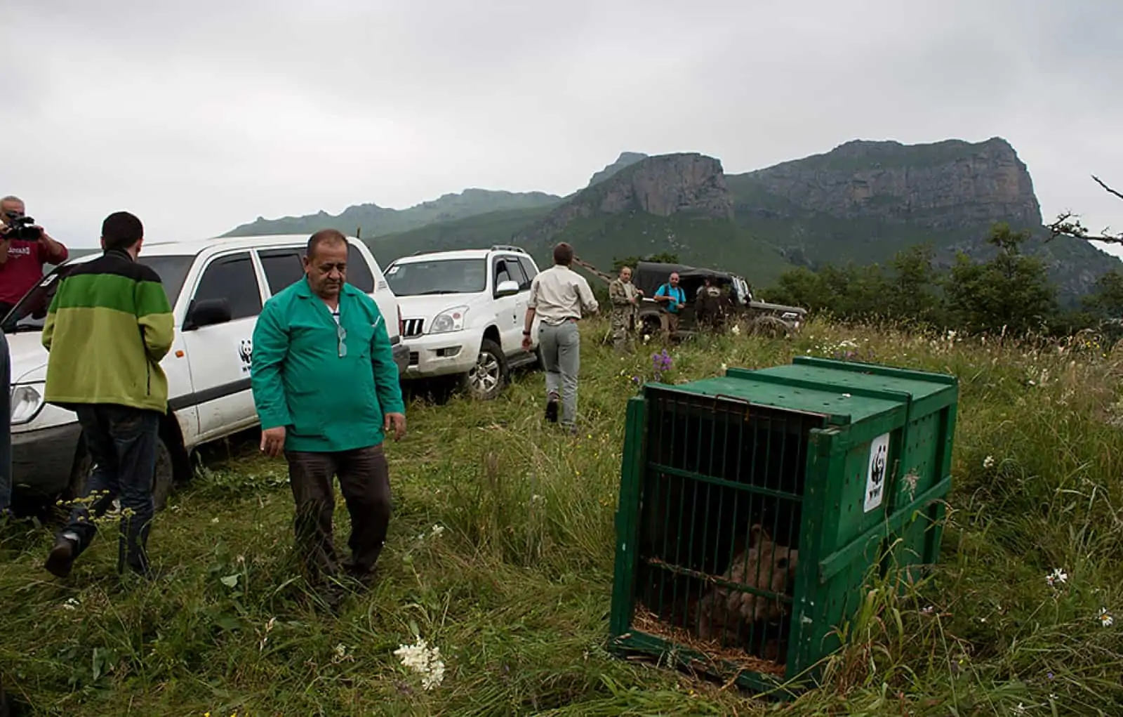 Auswilderung der Braunbärin Mascha im Kaukasus, © by WWF Auswilderung der Braunbärin Mascha im Kaukasus, © by WWF