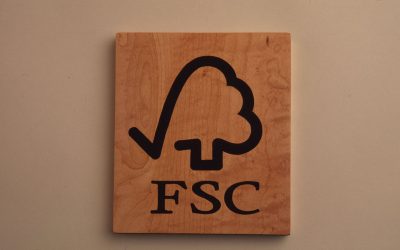 In „grünen“ Häusern wohnt sich’s besser!