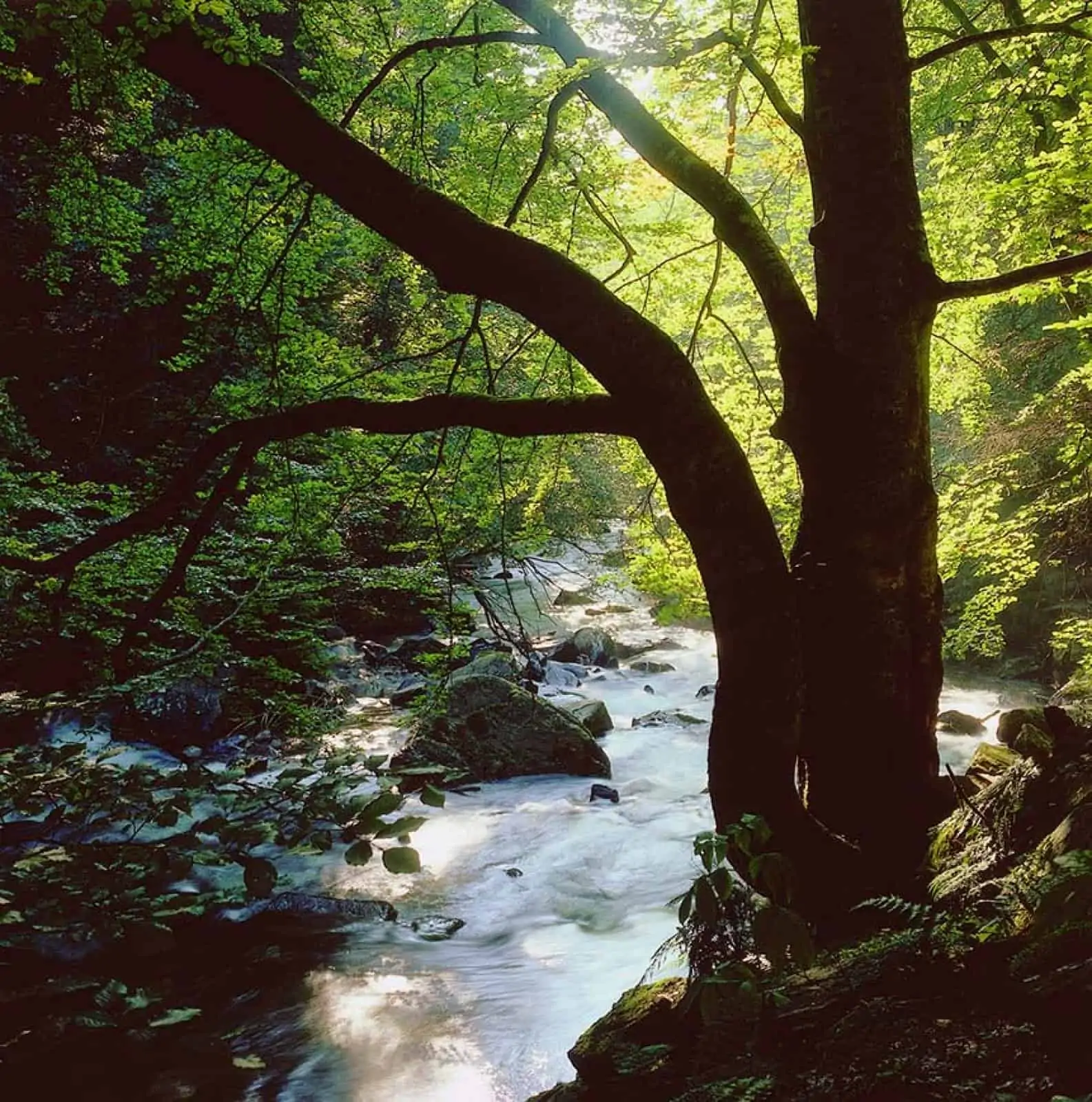 Schwarze Sulm, © by Erich Kump