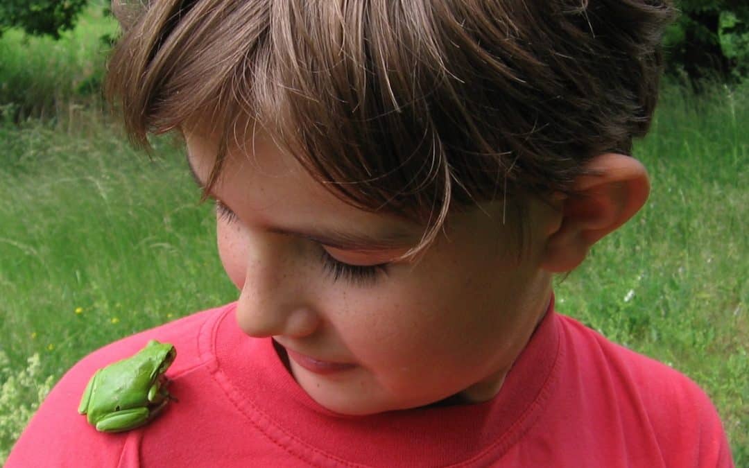 Sei (k)ein FROSCH – komm zum "FROSCHzauber"!