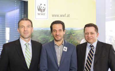 Klimawissenschaft und Umweltschutzorganisationen: Rettet die Energie- und Klimastrategie!