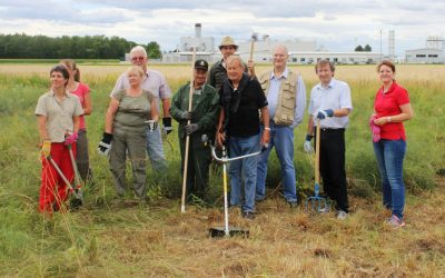 Pflegeeinsatz in den March-Thaya-Auen