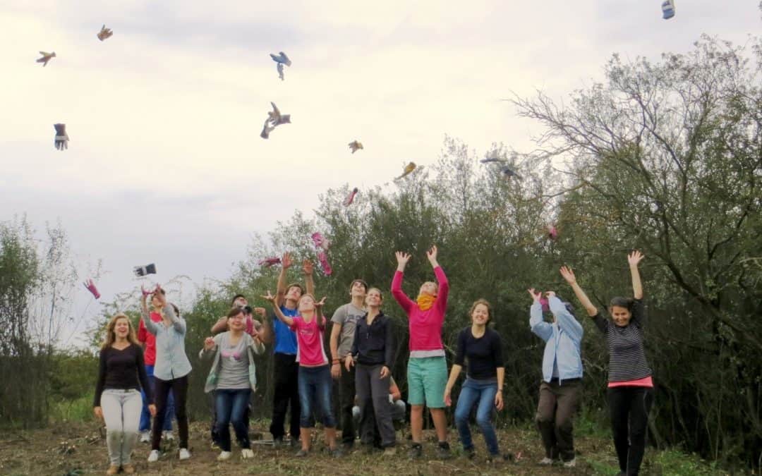 Freiwillige Helfer aus zehn Ländern zu Gast im WWF-Auenreservat Marchegg