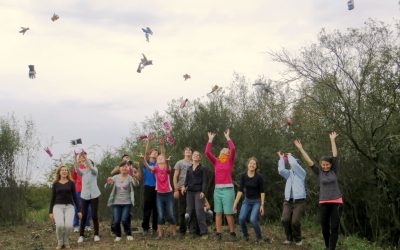 Freiwillige Helfer aus zehn Ländern zu Gast im WWF-Auenreservat Marchegg