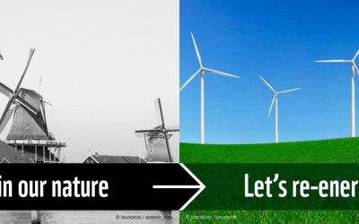 WWF an Koalition: Umwelt- und Energieprogramm deutlich nachbessern