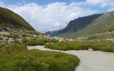 WWF protestiert gegen umweltschädliches Kraftwerk Kaunertal: Behörde muss Antrag nach UVP-Recht abweisen