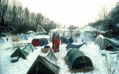 30 Jahre nach der Aubesetzung: Hainburg liegt heute an vielen Orten