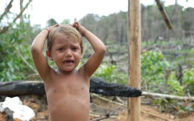 WWF warnt vor globaler Waldvernichtung bis 2030