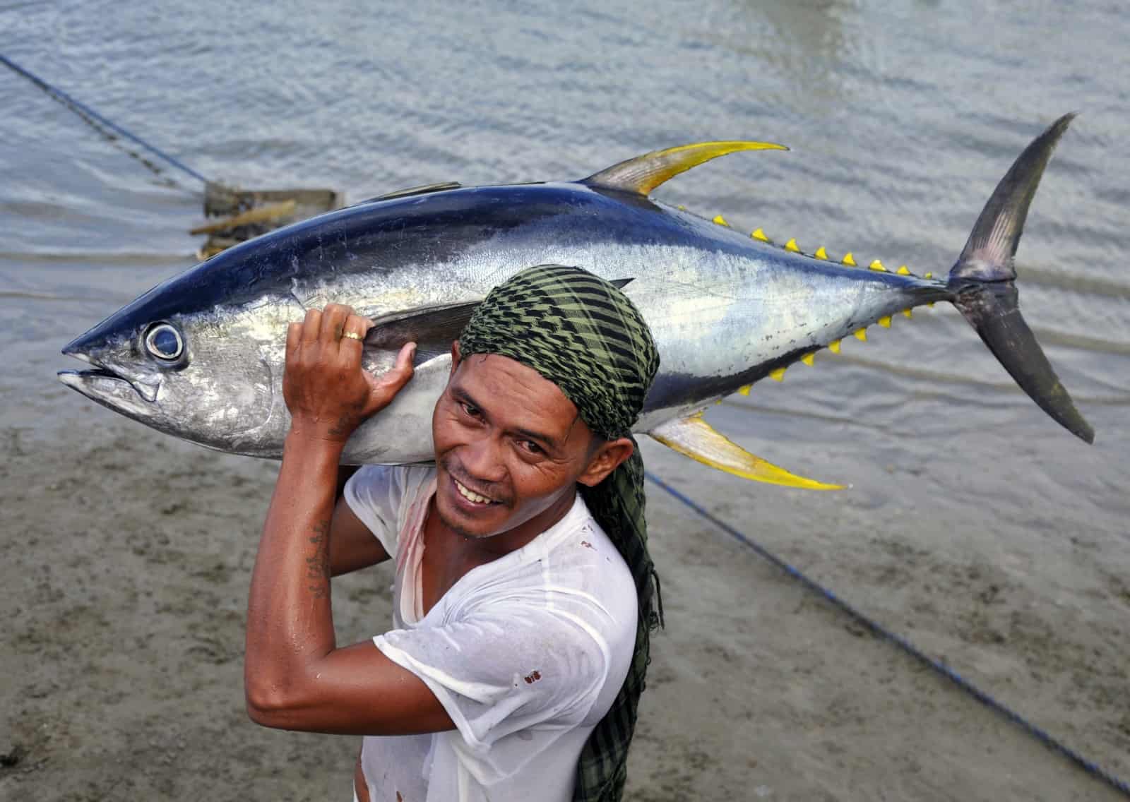 Fischer mit Thunfisch in Mamburao, Philippinen