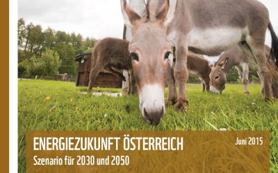 Umweltorganisationen fordern Bedingungen für eine effektive Energie- und Klimastrategie