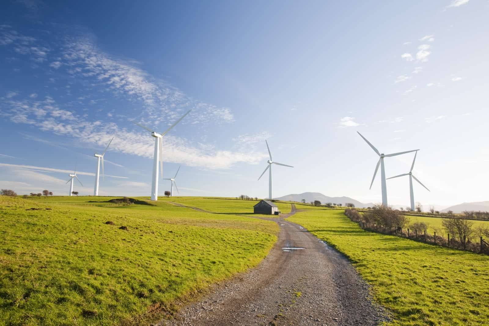 Windfarm