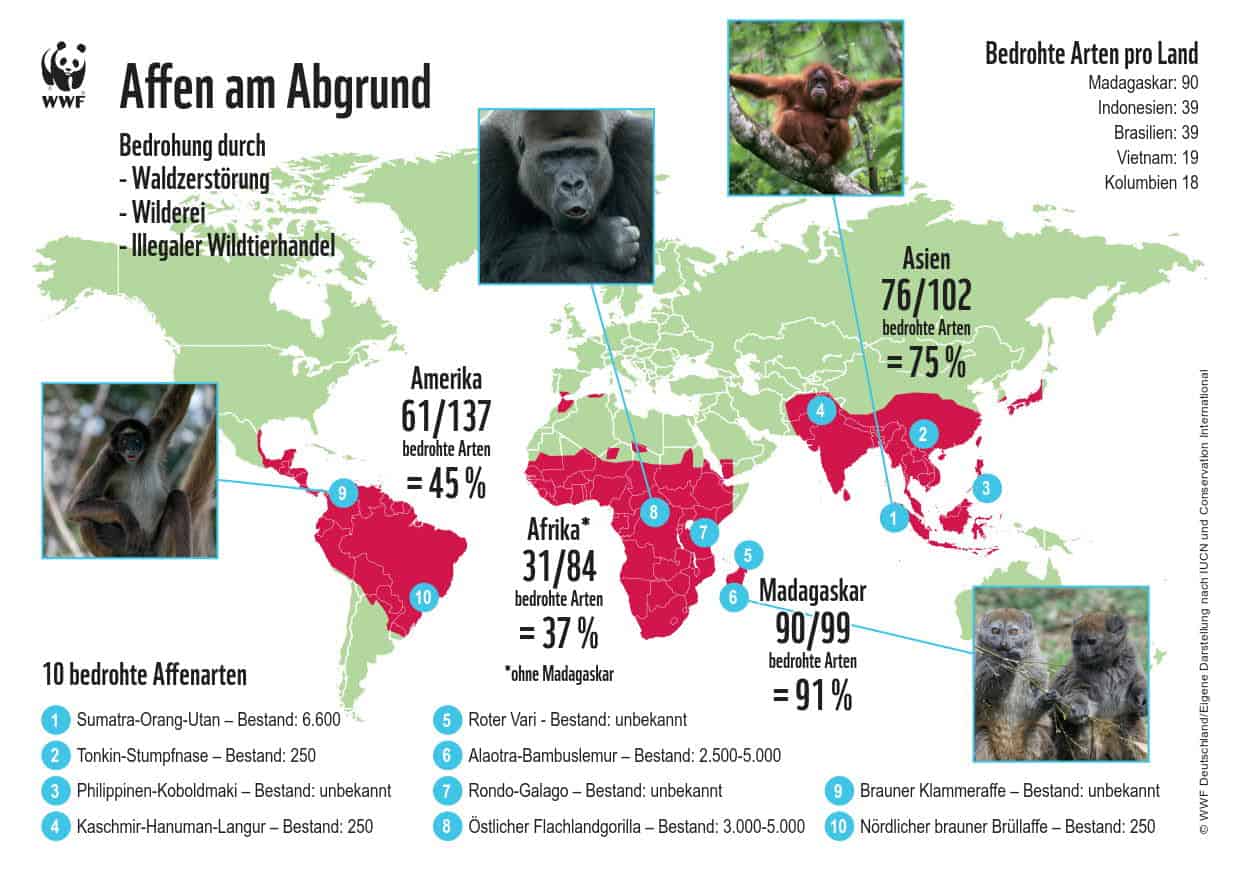 Affen am Abgrund, © by WWF