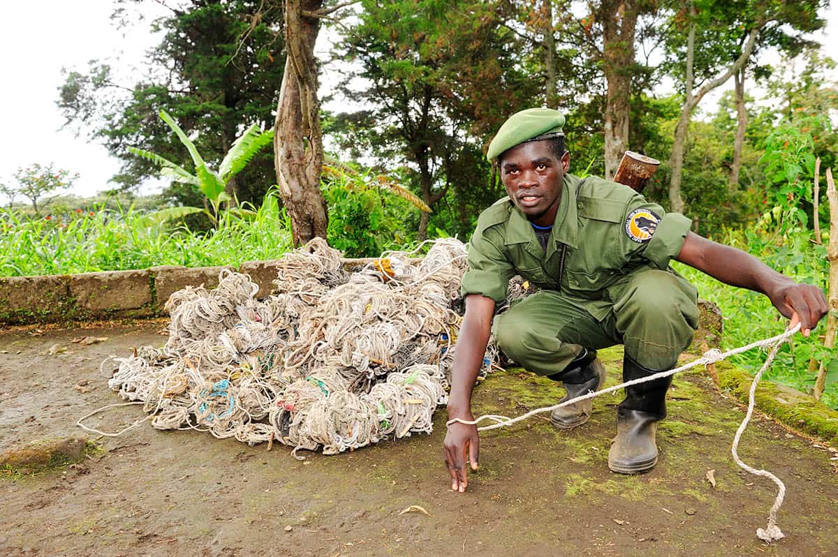 Bedrohung: Fallen machen den Regenwald unsicher, © by naturepl.com/E.Baccega/WWF Bedrohung: Fallen machen den Regenwald unsicher, © by naturepl.com/E.Baccega/WWF