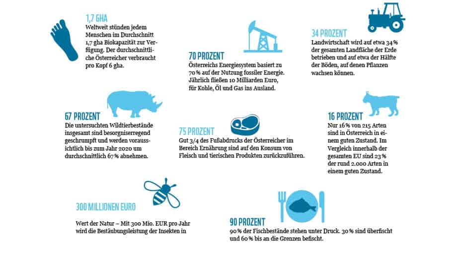 Die wichtigsten Zahlen und Fakten.
