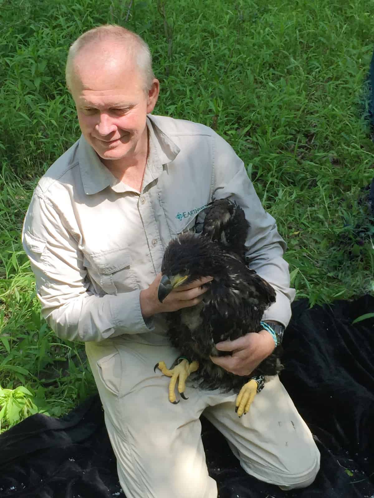 US-Greifvogelspezialist Mike Mc Grady mit besendertem Adler