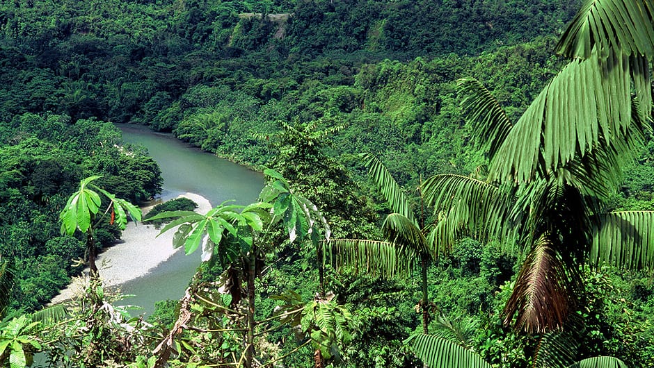 Der Anchicaya-Fluss im Amazonas-Regenwald