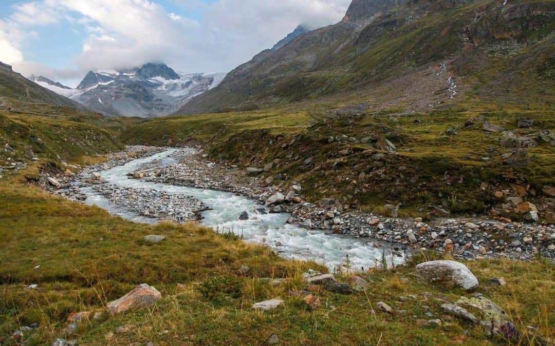 WWF: Grünes Licht für Mega-Speicherteich ist völlig falsches Signal