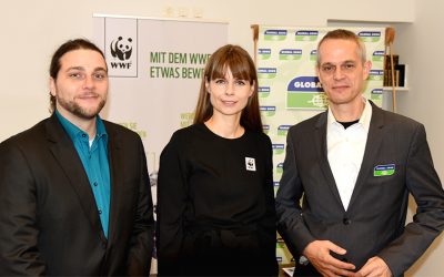 Österreichs Stromanbieter hinken Pariser Klimazielen hinterher