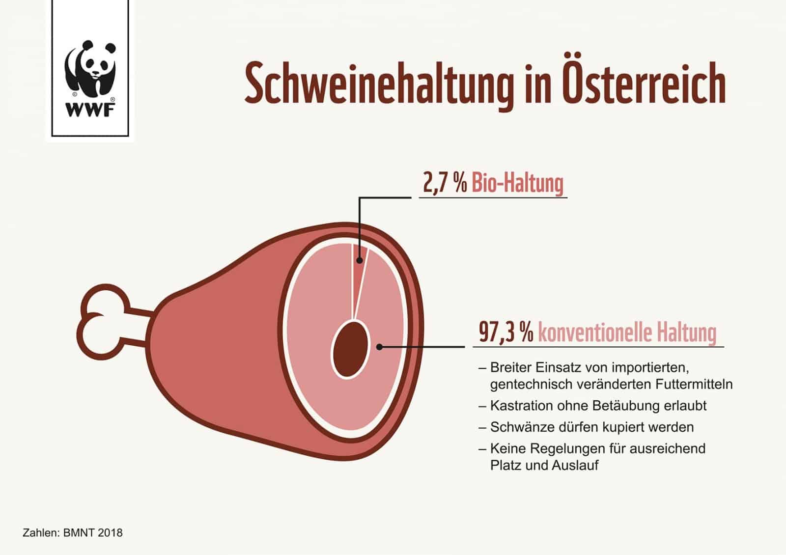 Schweinehaltung in Österreich, © by WWF Österreich Schweinehaltung in Österreich, © by WWF Österreich