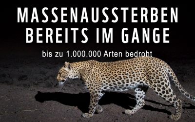 WWF Österreich fordert Schutzschild für Umwelt und Natur: Bis zu eine Million Tier- und Pflanzenarten drohen auszusterben