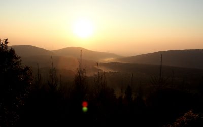 Wirtschaft gegen Klimakrise: 550 Unternehmen bekennen sich zum Klimaschutz und schließen sich Science Based Targets Initiative an