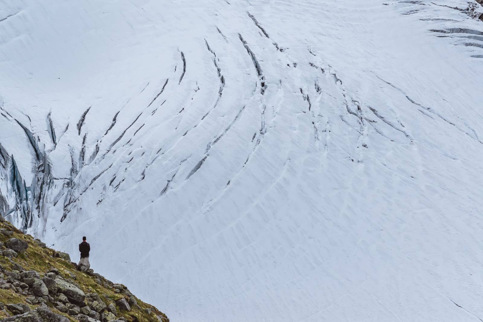 Alpine Wildnis (c) M. Zika / WWF Österreich