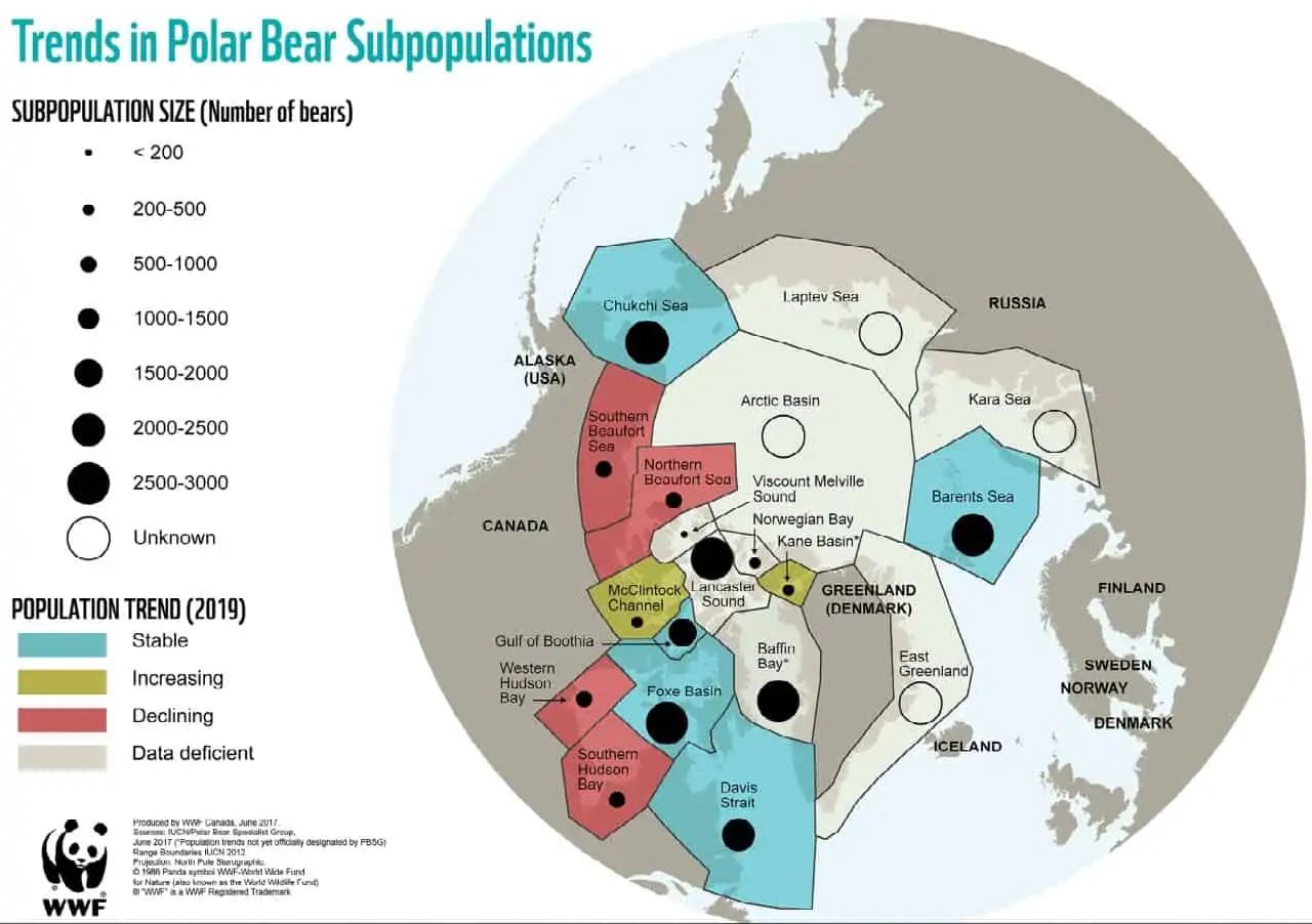 Entwicklung der Eisbären-Population 2019, © by WWF Entwicklung der Eisbären-Population 2019, © by WWF