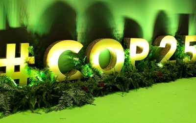WWF: Bundesregierung reist mit leeren Händen zur Klimakonferenz