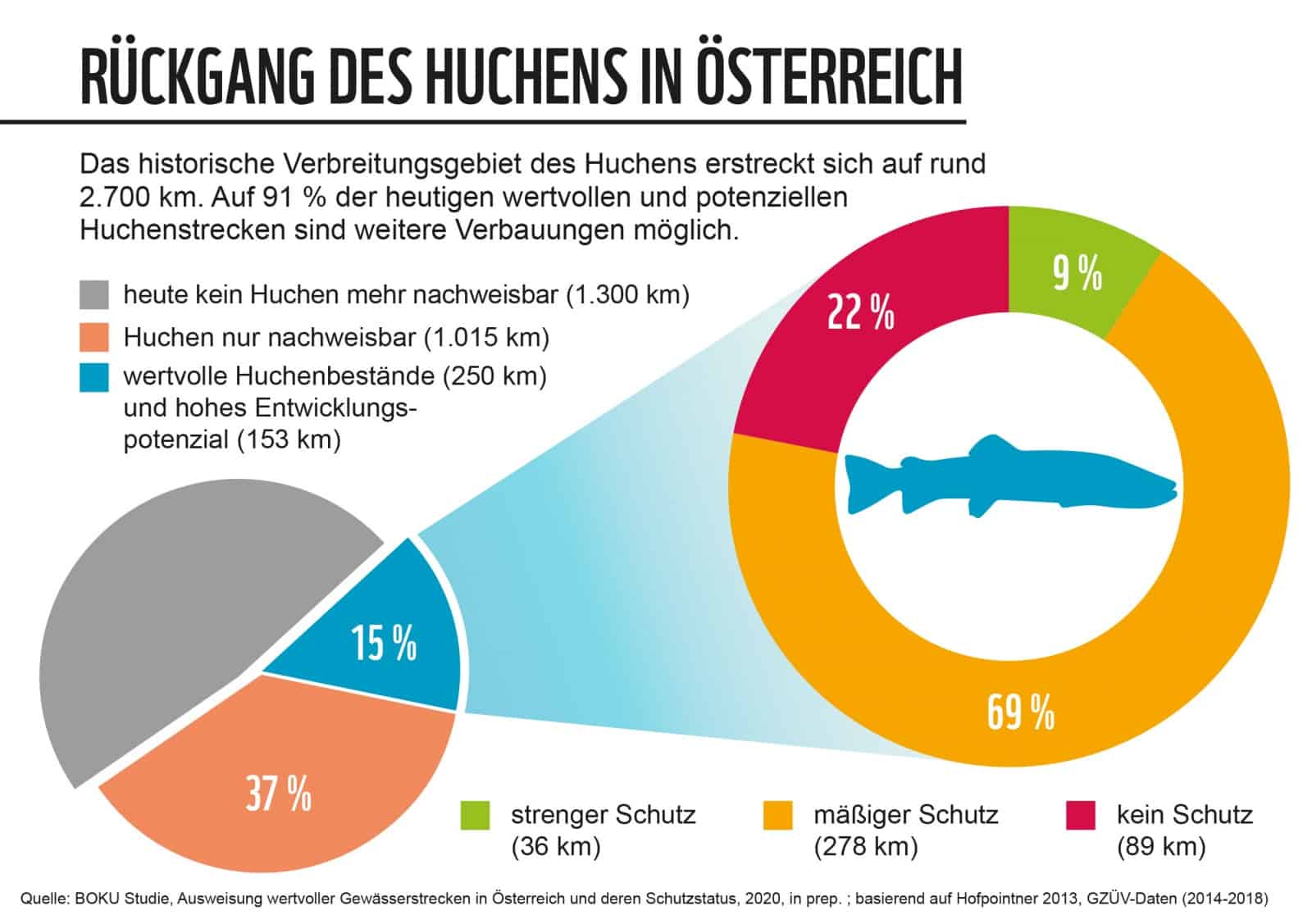 GRAFIK Rückgang des Huchens in ÖSterreich, © by WWF