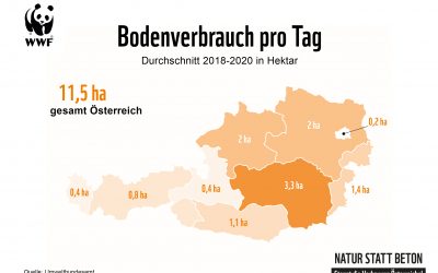 Neuer WWF-Report zeigt enormen Flächenfraß der Bundesländer