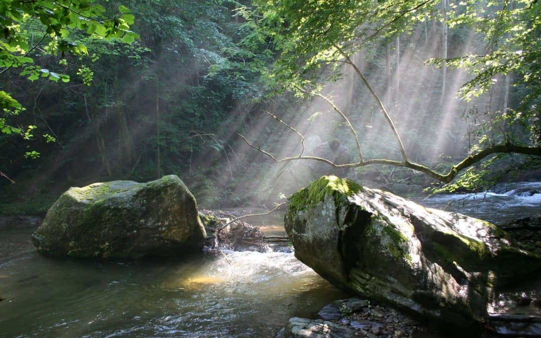 Paukenschlag an der Schwarzen Sulm: Kraftwerksbewilligung muss neu überprüft werden