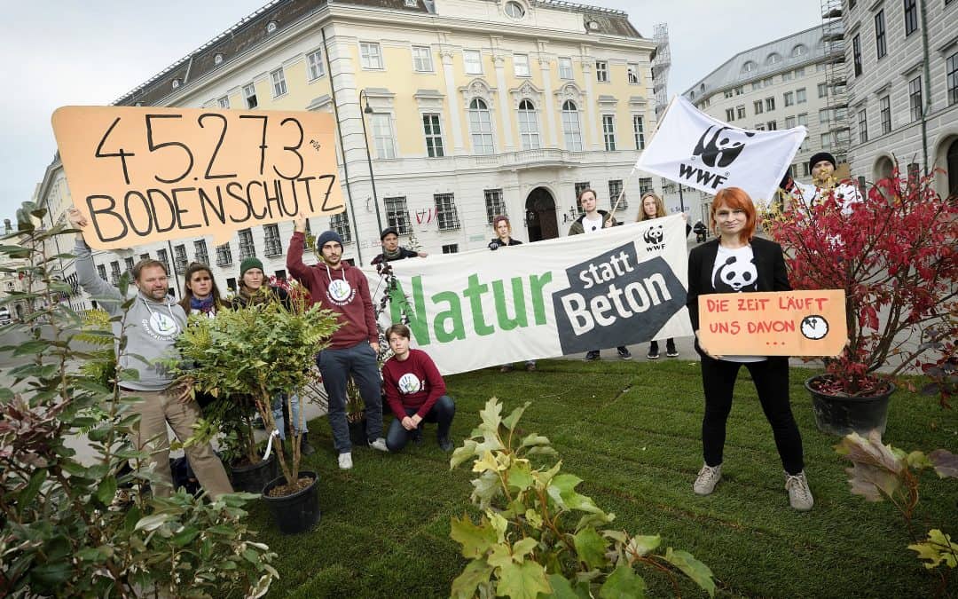 WWF-Protestaktion „Natur statt Beton“: Bodenschutz-Gipfel muss Flächenfraß stoppen