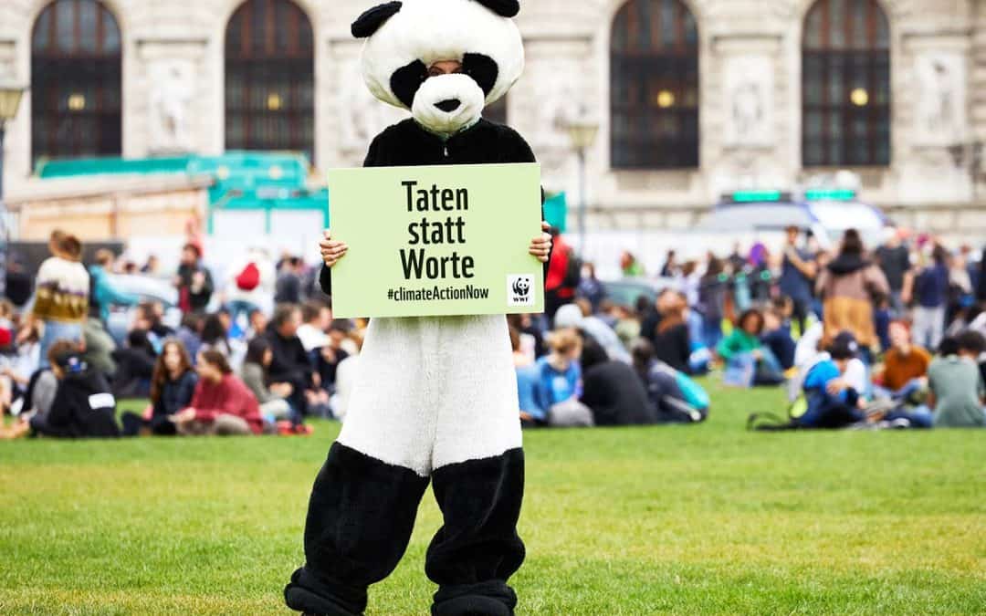 Weltklimakonferenz: WWF sieht “viel Schatten und wenig Licht”