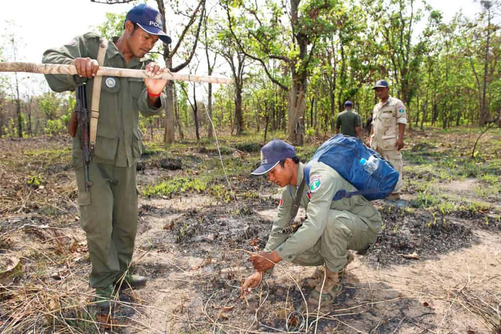 Zwei Ranger entfernen Schlingfallen in Kambodscha