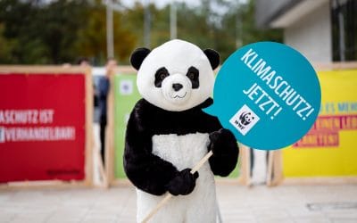 WWF: Österreichs Klimaschutz-Zeugnis zeigt massiven Aufholbedarf